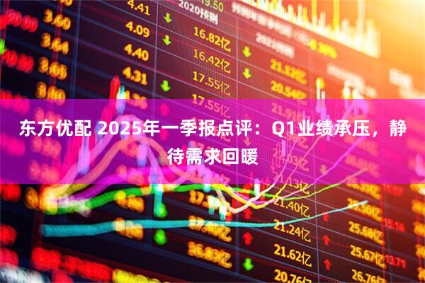 东方优配 2025年一季报点评：Q1业绩承压，静待需求回暖