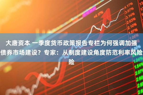 大唐资本 一季度货币政策报告专栏为何强调加强债券市场建设？专家：从制度建设角度防范利率风险