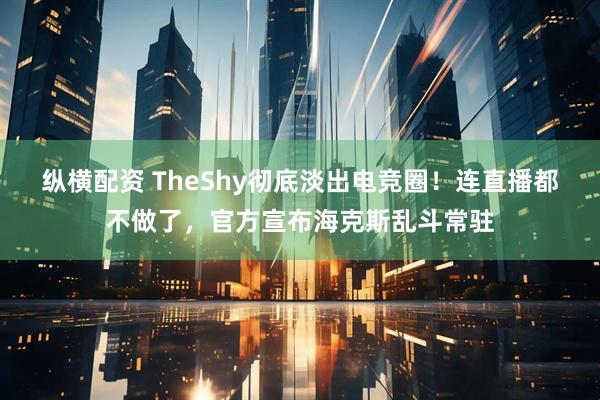 纵横配资 TheShy彻底淡出电竞圈!连直播都不做了,官方宣布海克斯乱斗常驻