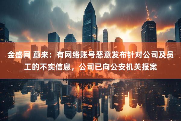 金盛网 蔚来：有网络账号恶意发布针对公司及员工的不实信息，公司已向公安机关报案